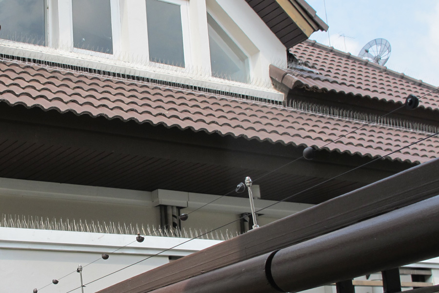 Electromagnetic-wave-01